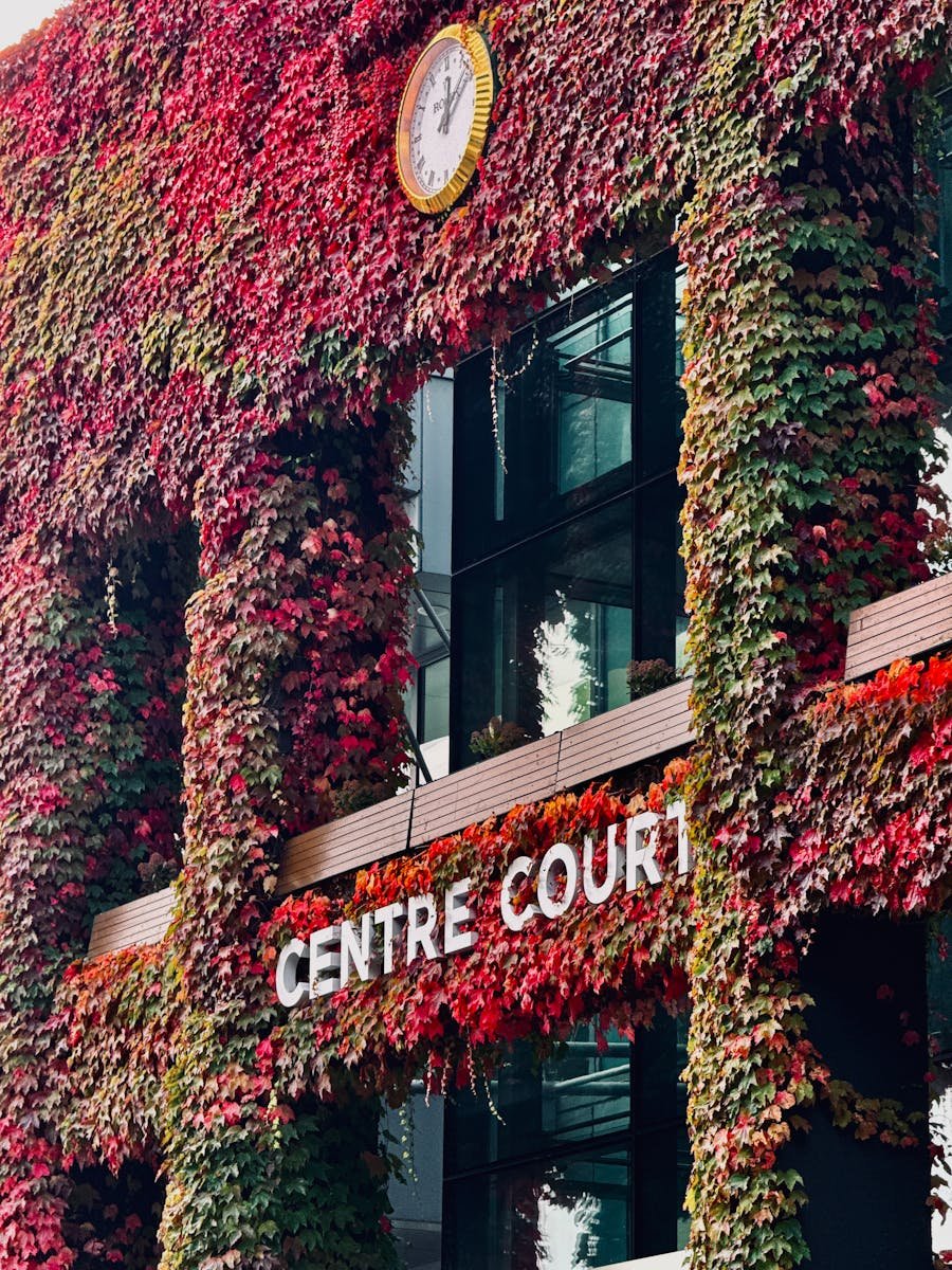 Vibrant ivy-covered facade of Centre Court building with a clock in London adorned in autumn leaves.